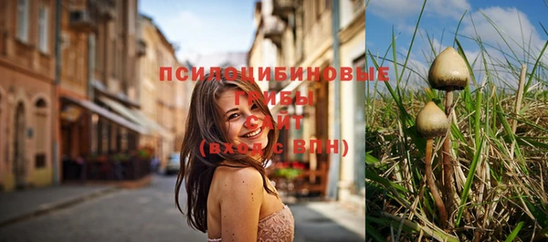 дмт Абинск